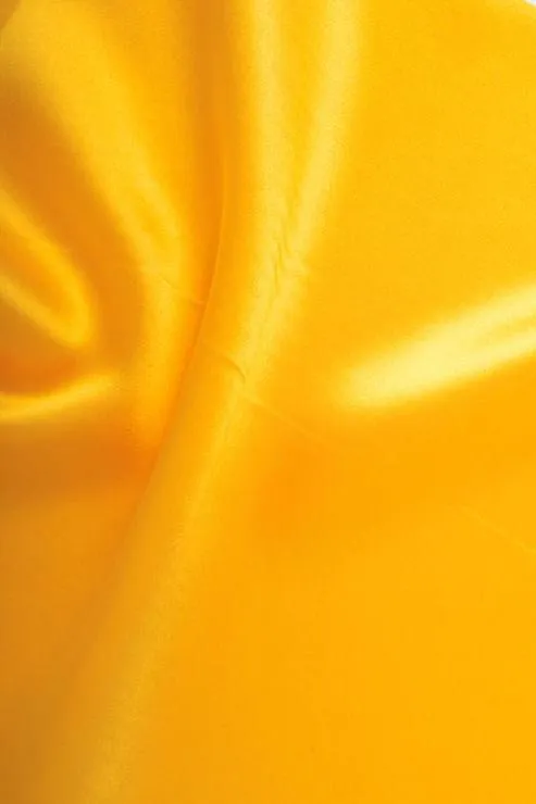 Marigold Charmeuse Silk Fabric